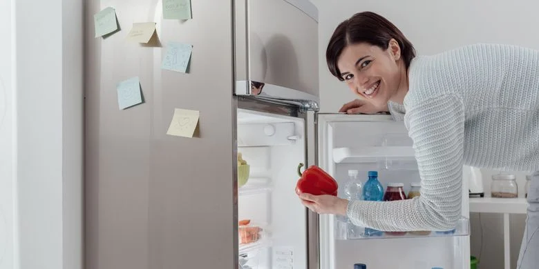 Jenis-jenis Kulkas Terbaik